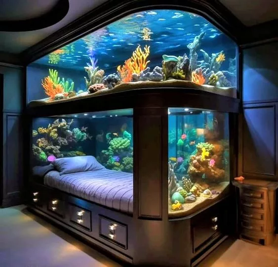 Designing Your Dream Fish Tank Bed