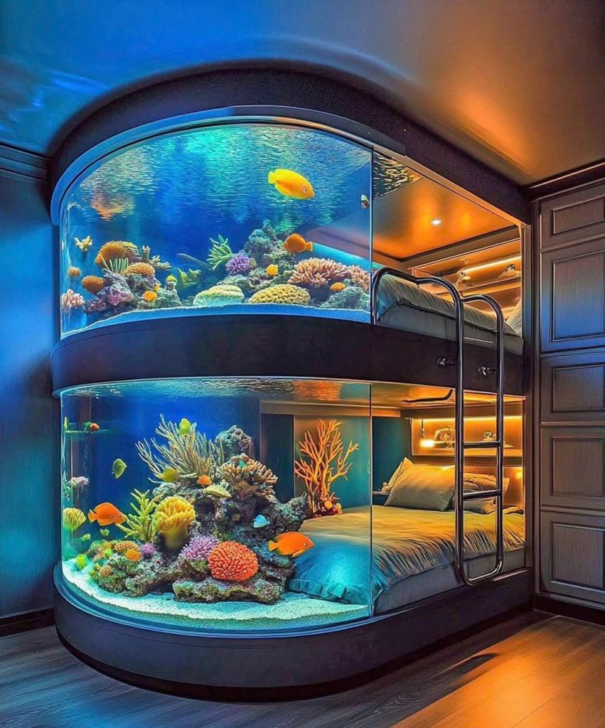 What Makes the Aquarium Bunk Bed Special?